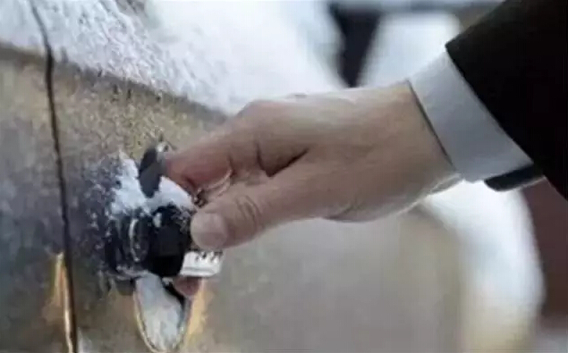 车门被冻住了怎么办？一招办法教给你简单实用