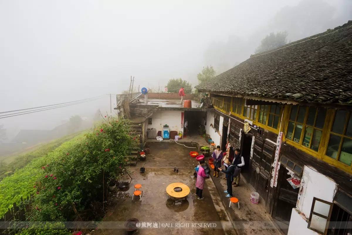 今年最后银杏金秋，现在出发还来得及！