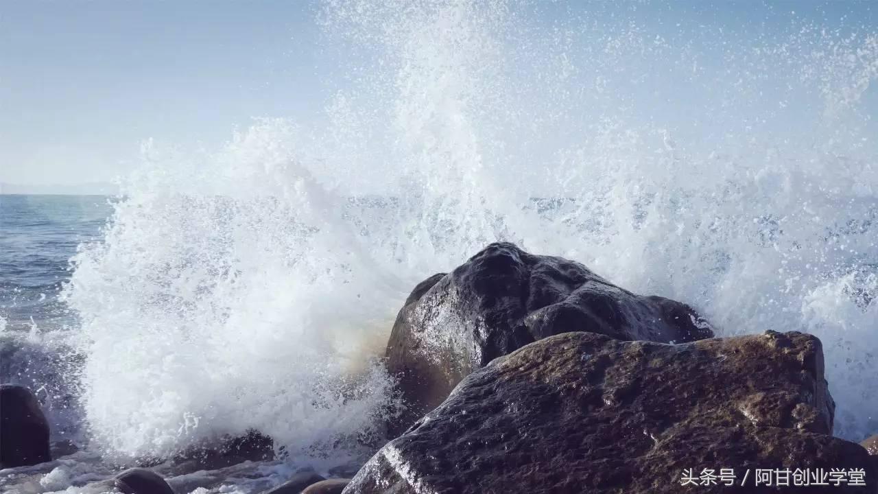 哀鸿遍野安身立命,哀鸿遍野出自哪篇文章