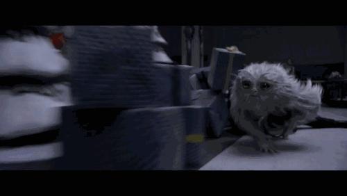 读了麻瓜麻鸡魔法入门，《神奇动物》会好看100倍