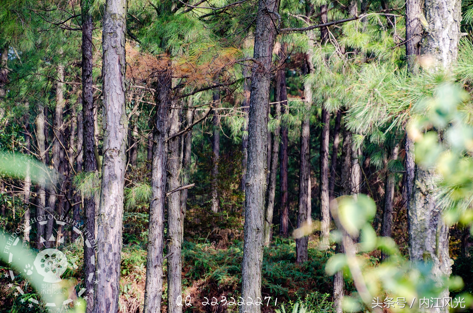 攀越震撼的内江威远高顶寨