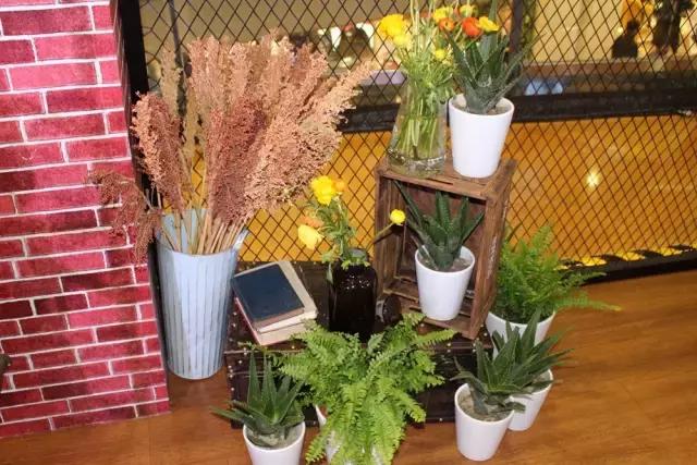 好物分享脱毛仪奥克斯,kiehls爽肤水哪个好用