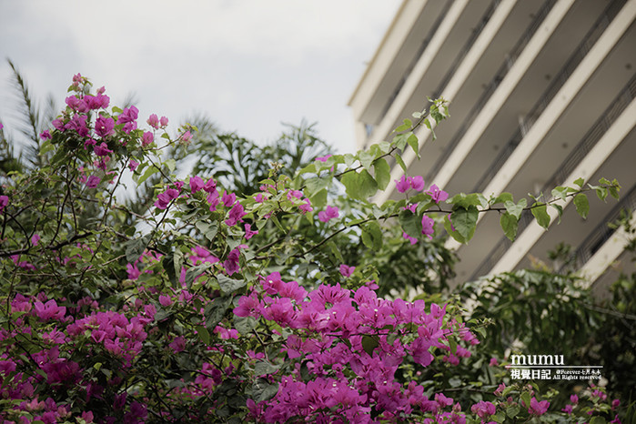 三亚第一市场怎么选海鲜,三亚第一市场海鲜在三亚哪个位置