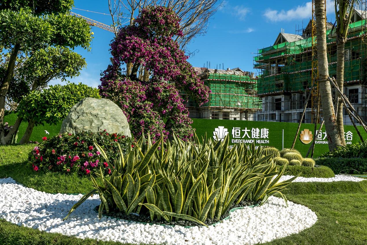 海棠湾恒大养生谷服务公寓,恒大养生谷三亚