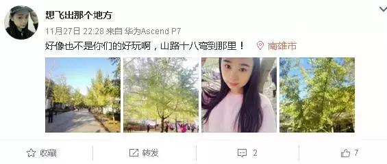 南雄看银杏值得去吗,南雄看银杏攻略