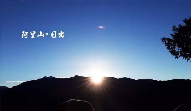 快来看真正的阿里山日月潭是怎样的~