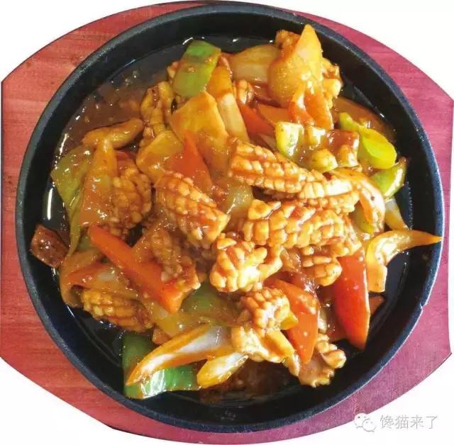 葫芦岛自助小馋猫,馋猫优果葫芦岛旗舰店