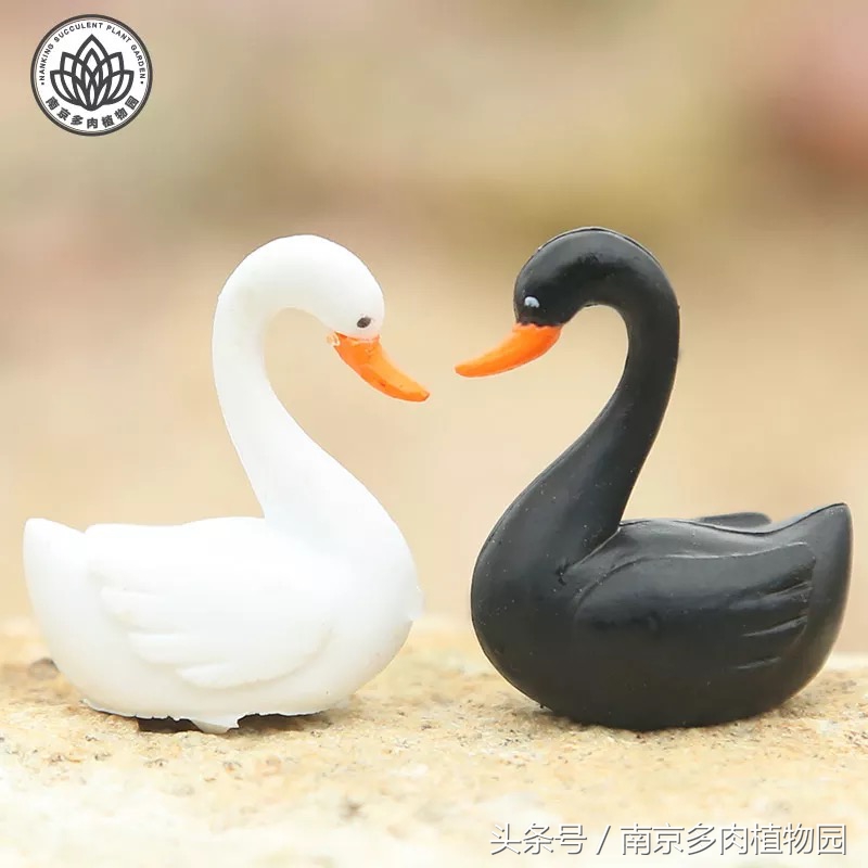 乐高积木成人款植物多肉,小玩具乐高