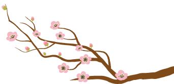 江苏宜兴的世外桃源,宜兴世外桃源