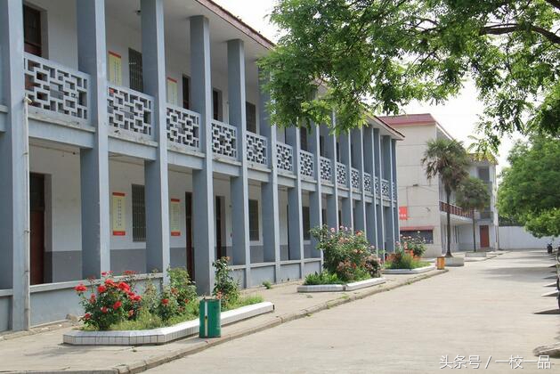 驻马店校园足球,驻马店市第二高级中学怎么样