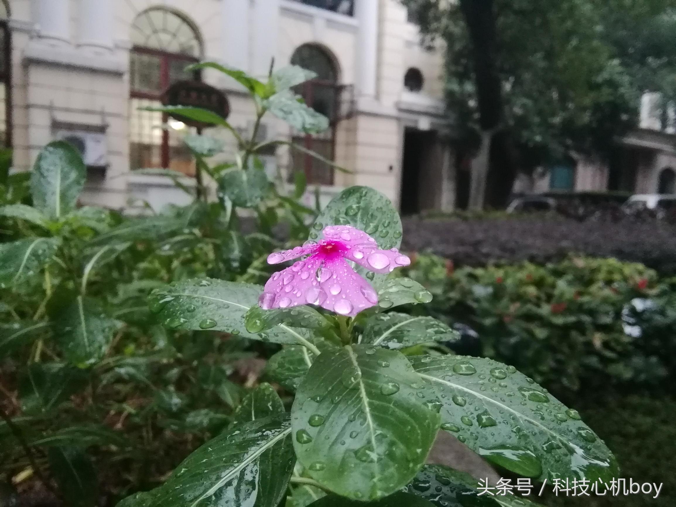 华为nova8pro和荣耀m3哪个好,华为mate40e和荣耀m3选哪个