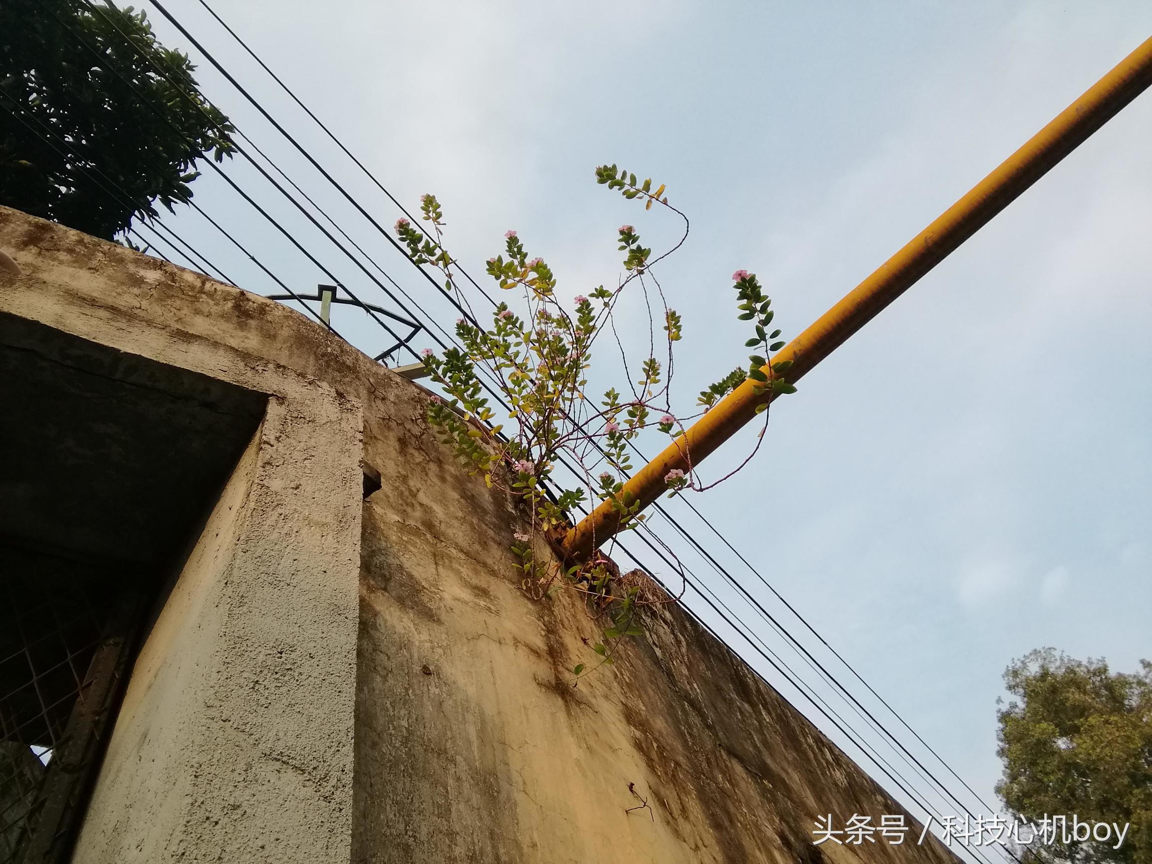 华为nova8pro和荣耀m3哪个好,华为mate40e和荣耀m3选哪个