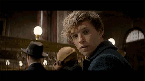 读了麻瓜麻鸡魔法入门，《神奇动物》会好看100倍