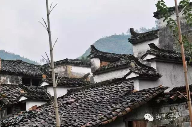 一家四口亚欧自驾游,一家四口全球旅游