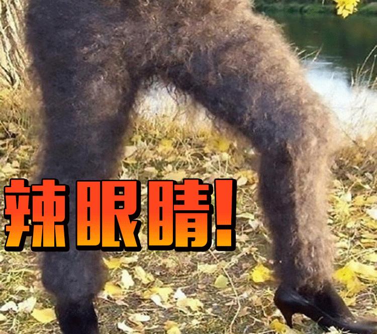 秋冬保暖连裤袜品牌,秋冬连裤袜哪个牌子质量比较好