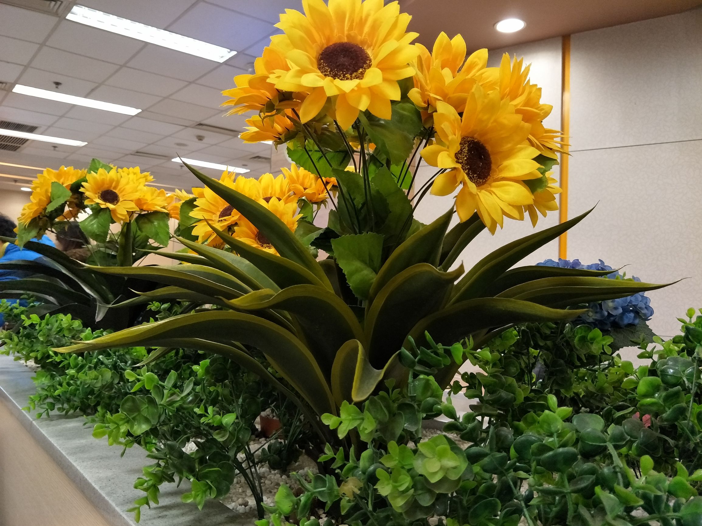 oppopad值不值得入手,oppor9s到底值不值得入手