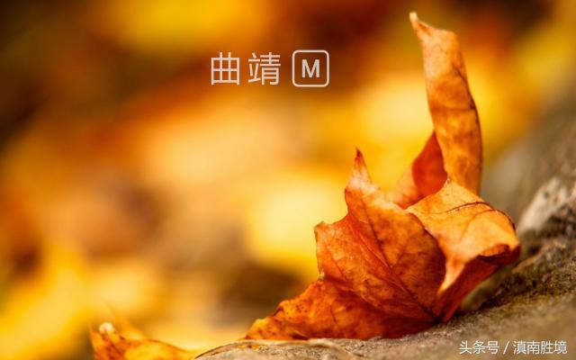 李永超书法真迹,李永超书画作品