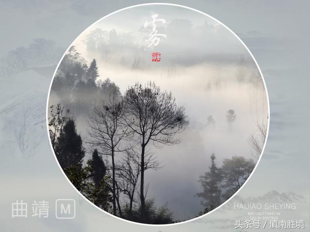 诗画富源︱富源的雾:似梦亦如幻