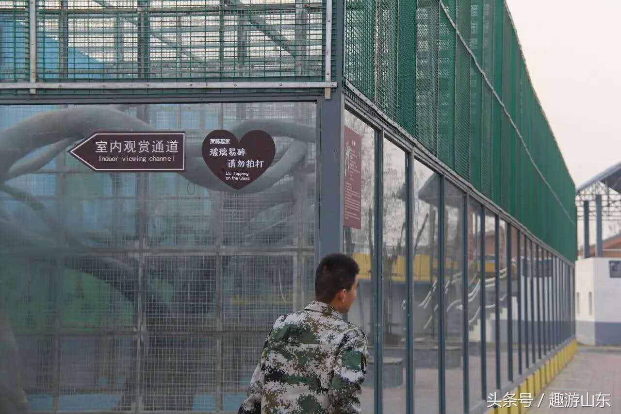 德州生态动物园,德州动物园布局