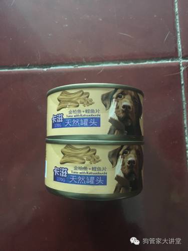 金毛从成年开始养,金毛养成