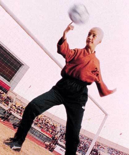 少林足球经典台词谢贤,星爷的少林足球有多火