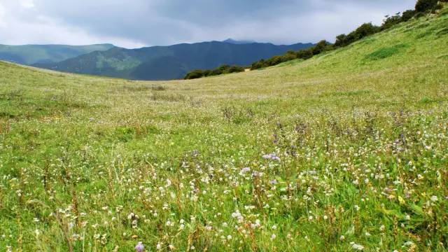 成都川西小环线4天自驾免费景点,成都自驾川西景点推荐