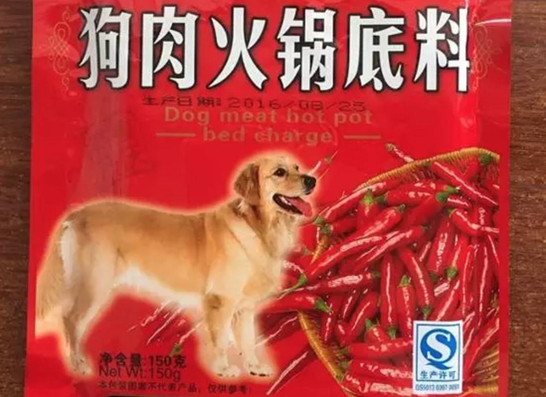 “中国土狗”比“日本土狗”差在哪里？