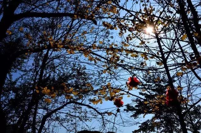 成都非周末徒步户外,冬天成都户外徒步