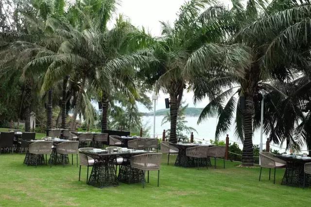 杨幂刘恺威最新一期从酒店出来,杨幂刘恺威法国巴黎定情之作