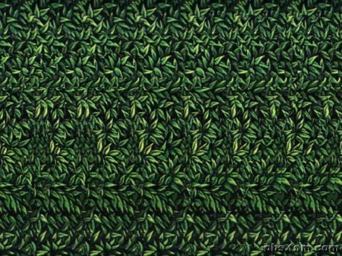 超神奇的3d动态图,omg效果图