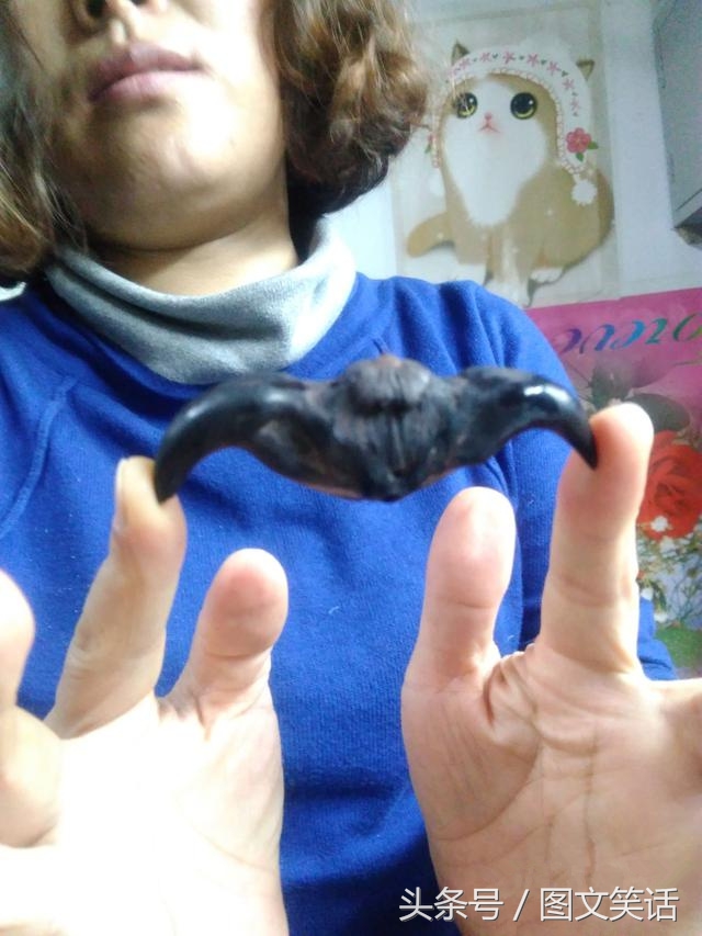 图文笑话选择幽默,图文笑话视频