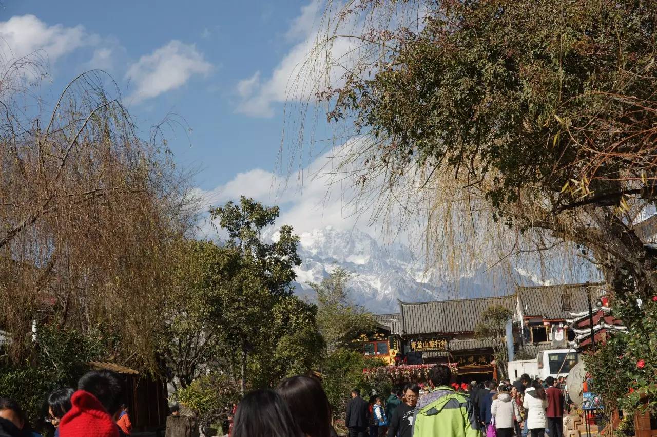 旅行社服务质量现状简介,从八项规定入手