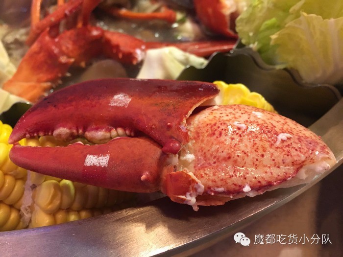 榄旈兘鐢熷瓨鎵嬪唽,榄旈兘鐢熷瓨鎸囧崡