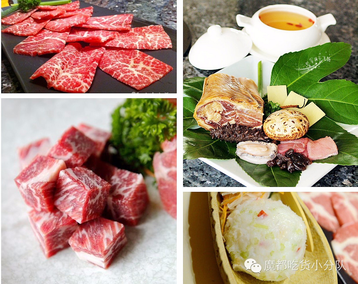 榄旈兘鐢熷瓨鎵嬪唽,榄旈兘鐢熷瓨鎸囧崡