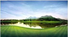 茶园的地价多少钱一亩,茶园拿地价格