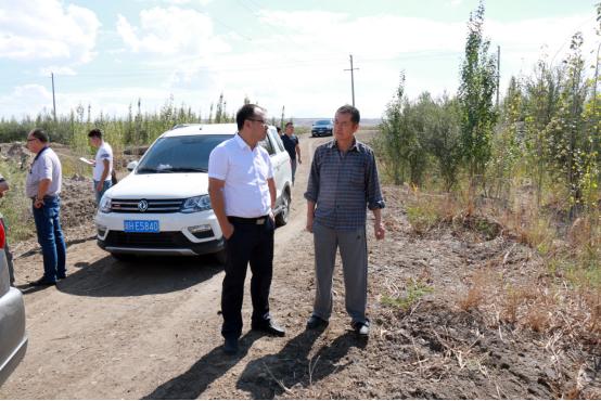 发展赛鸽养殖助力贫困户脱贫致富,新疆新和县小鸽子带动大产业视频