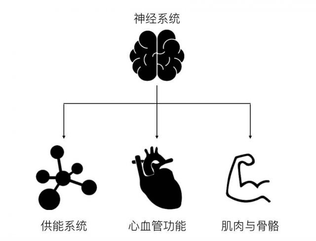 如何提高体测1000米,学生党体测一千米推荐跑鞋