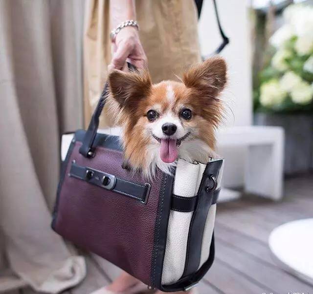 捂紧钱包,捂紧钱包勒紧裤腰过日子