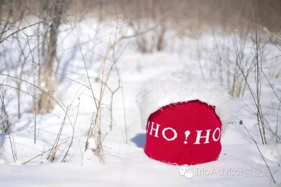 芬兰极光大爆发,2016极光