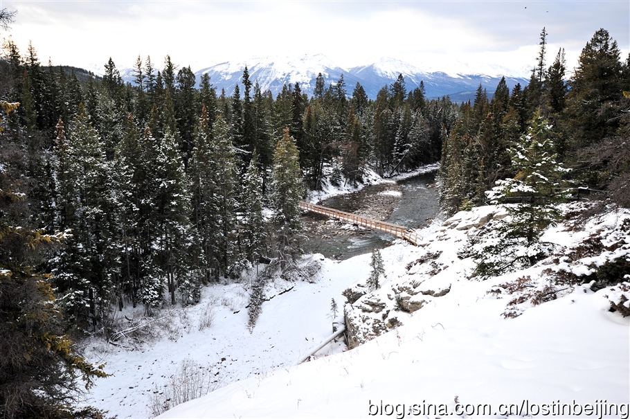 冰走峡谷邂逅贾斯珀精灵