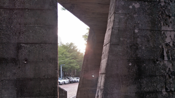 拍照体验好的手机,opporeno7pro拍照评测