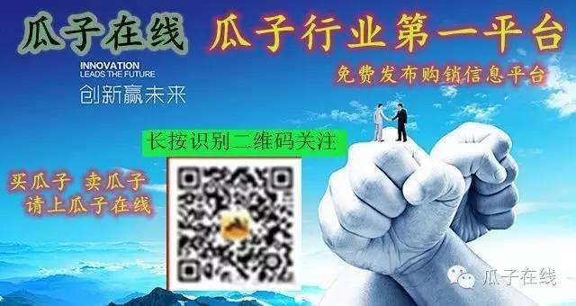 瓜子最新行情视频,瓜子批发厂家直销葵花籽新货