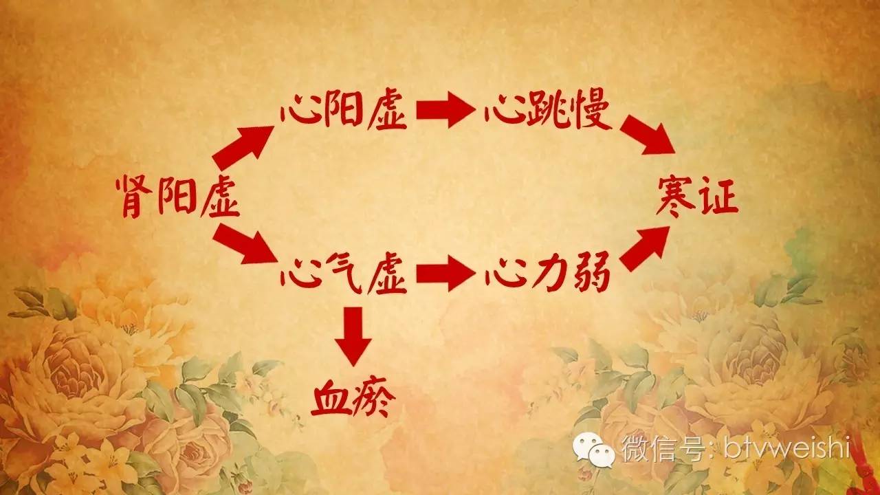 养生堂最新讲座中医养生,养生堂中医专家讲让心不慌的视频