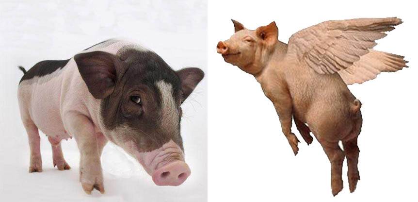 用纸小常识,用纸小常识大全