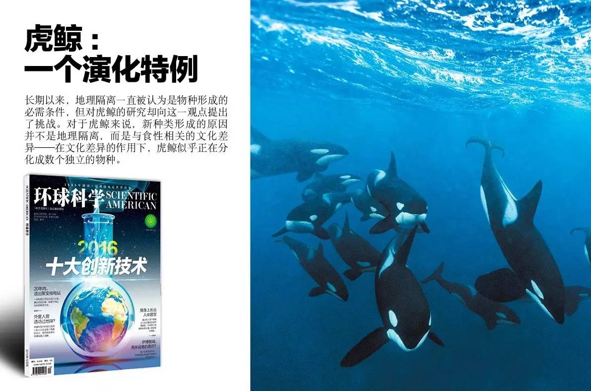 2021中国科技创新盘点,十大科技创新技术案例