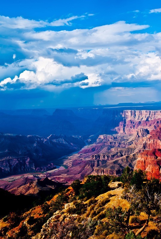 再不疯狂我们就老了下一句怎么说,完整版的再不疯狂就老了