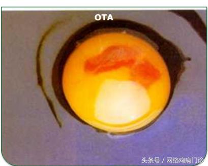 脱霉剂实测,脱霉剂真正脱霉吗