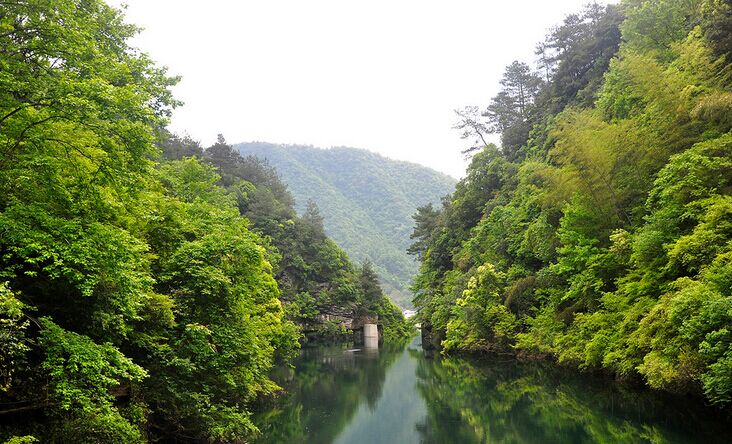 藏在深山无人识,石台县原始森林