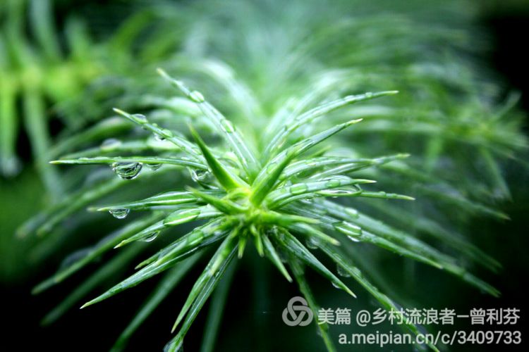 记住乡愁河源热水镇,发现河源