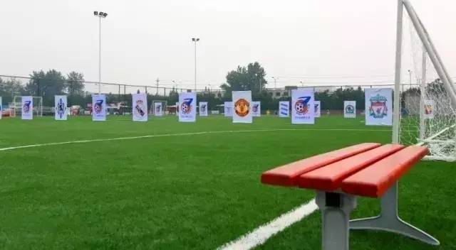 成都最爽看足球比赛的地方,成都凤凰山专业足球场看球攻略